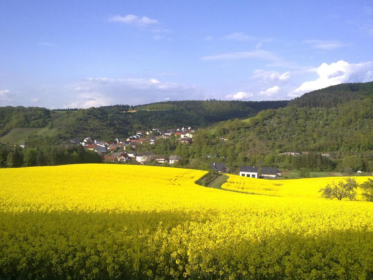 Ferienwohnungen Naheliebe Im Hunsrueck & Naheland Barenbach Exterior photo
